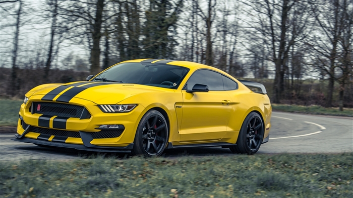 Yellow Ford Mustang GT350 with Black Stripes 4K