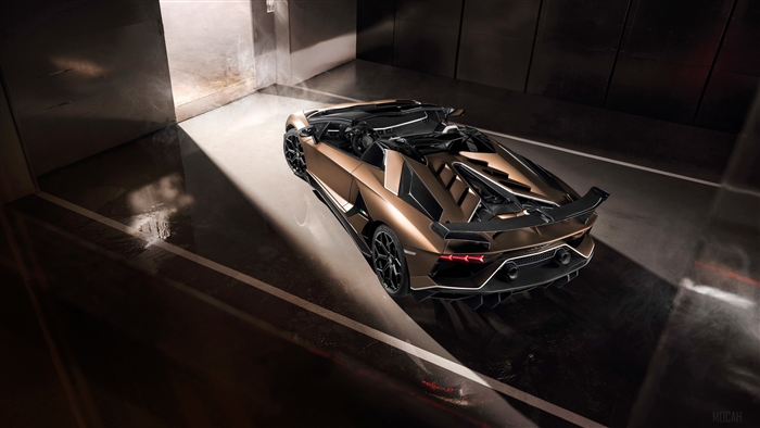 Lamborghini Aventador SVJ Roadster 2019