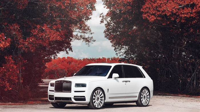 White Rolls Royce Cullinan 4K