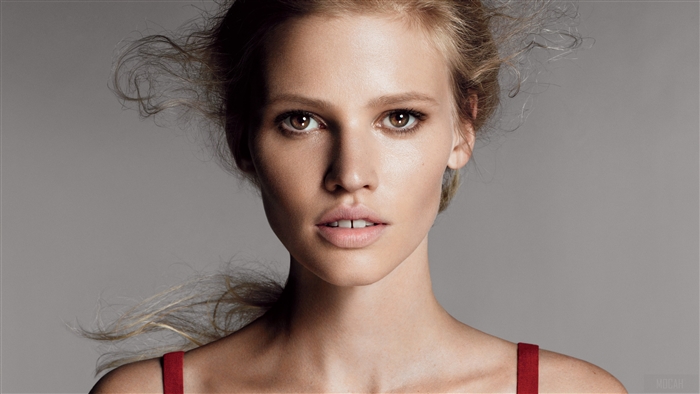Lara Stone