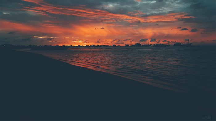 Beach Photo During Golden Hour