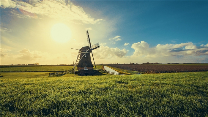 Windmill in a field with sun and clouds 4K