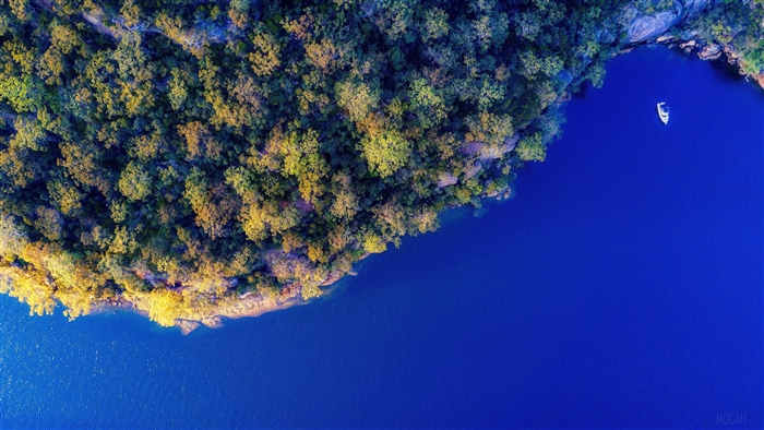 Aerial view of island forest and blue water with boat