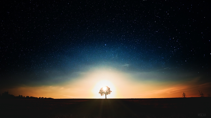 Tree silhouetted against sunset and starry sky