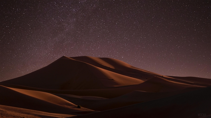 Desert Dunes Under Starry Night Sky 4K