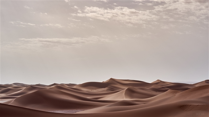 Desert Landscape Morning