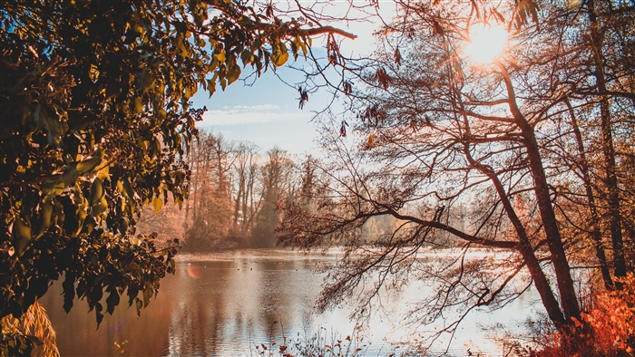 Autumn lake at sunrise with sunbeams through trees