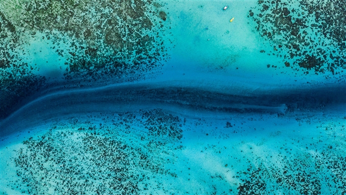 Ocean Drone View