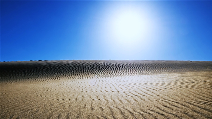 Sahara Desert dunes under bright sun 4K