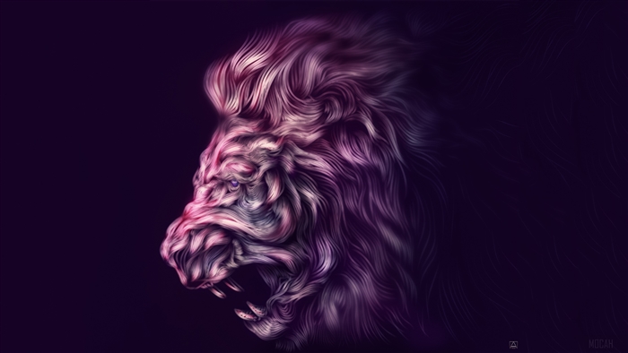 Lion Graphic Design Digital Art 4k