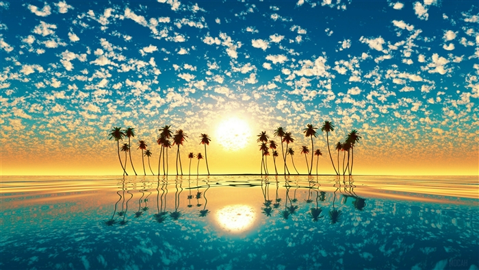 Palm trees on a tropical island at sunset 4K