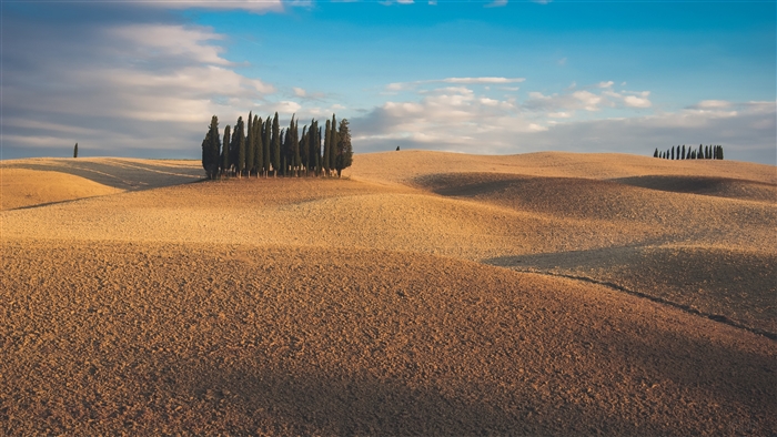 Tuscan Hills with Cypress Trees 4K