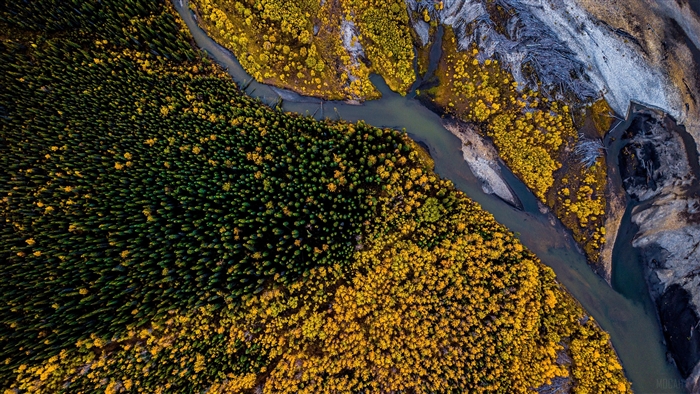Aerial view of a river flowing through forests and rocky terrain