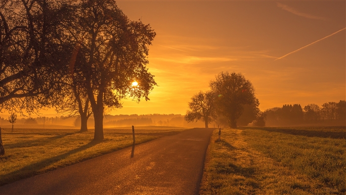 Scenic Road Sunrise Sunset Trees Meadow