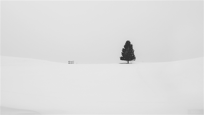 Minimalist Snow Landscape with Lone Tree