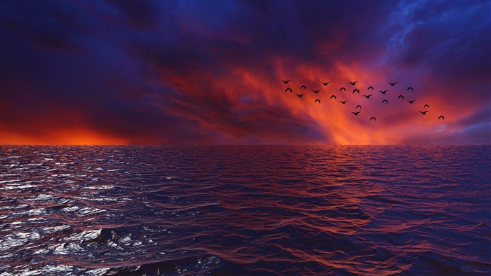 Birds flying over ocean at sunset 4K