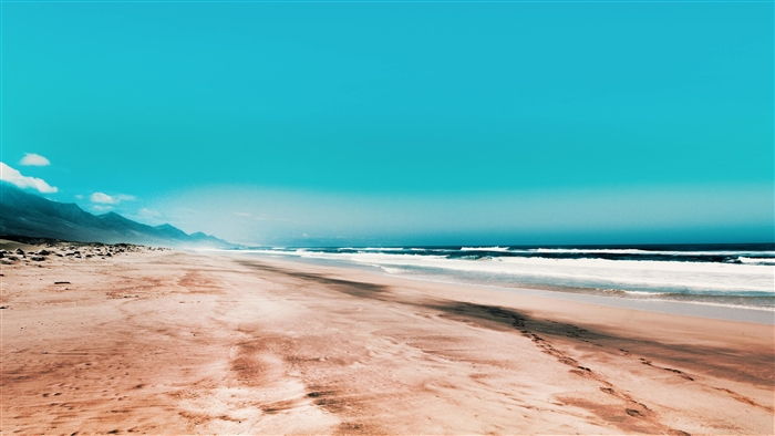Seashore Under Clear Blue Sky