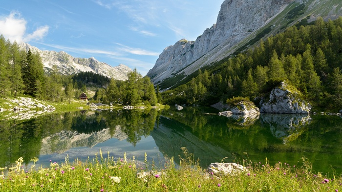 Mountain lake with reflection and wildflowers