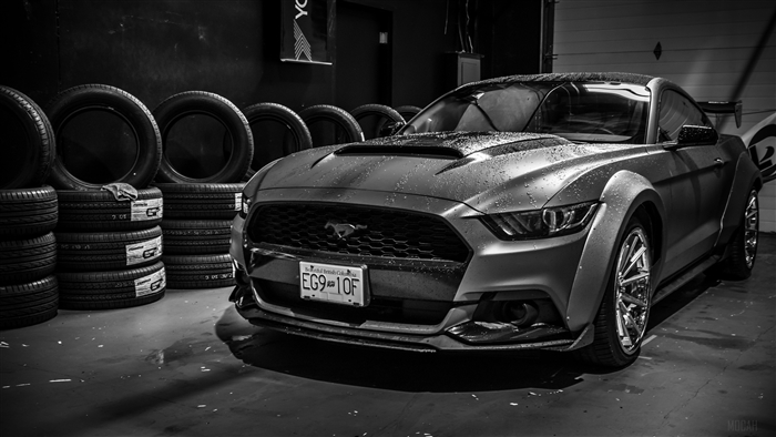 Ford Mustang in Monochrome 4K