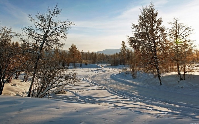 Snowy road through a winter forest