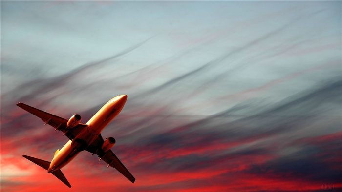 Passenger Plane in Sunset Sky 4K