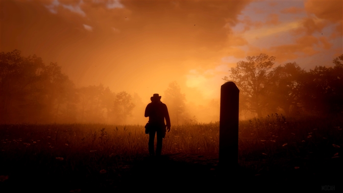 Arthur Morgan from Red Dead Redemption 2 4K