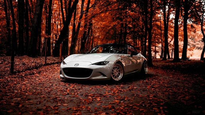 White Mazda Miata in Autumn Forest 4K