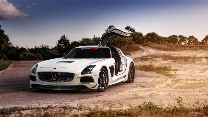 White Mercedes SLS AMG with Gullwing Doors