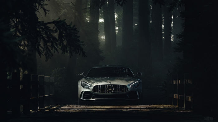 Mercedes Benz AMG GT in a foggy forest