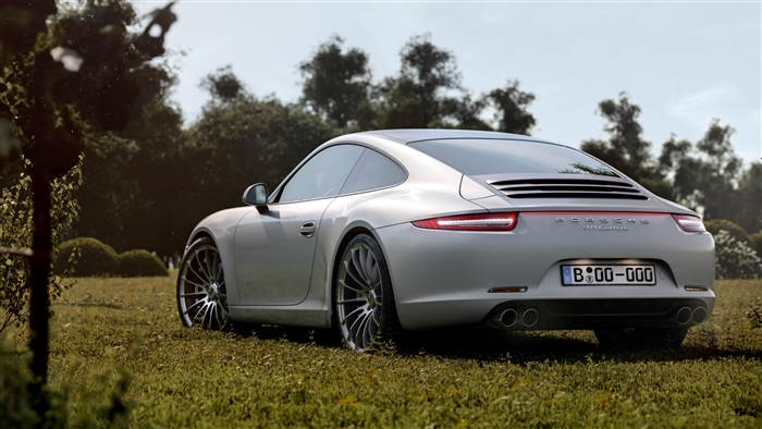 Silver Porsche 911 Carrera parked on grass