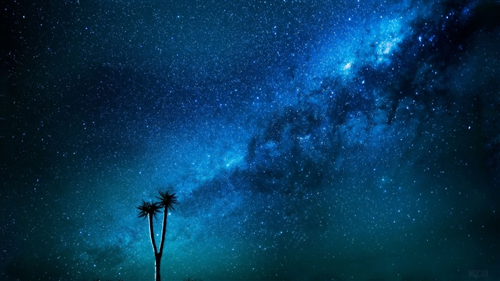 Milky Way Galaxy over Joshua Trees 4K