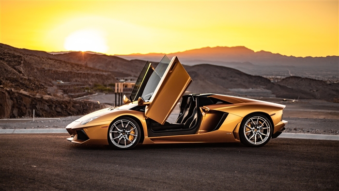 Gold Lamborghini Aventador Roadster 4K