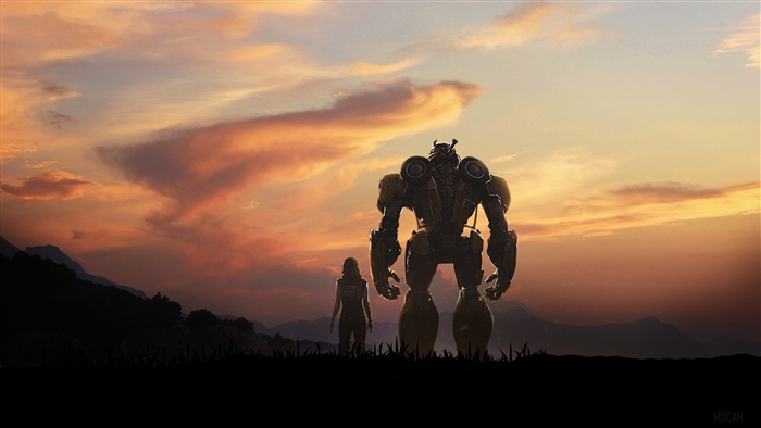 Bumblebee and a girl at sunset