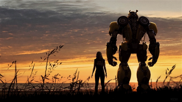 Bumblebee and a girl at sunset 4K
