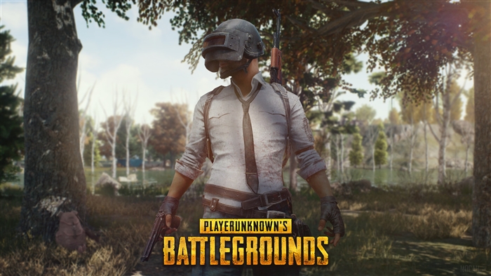 PlayerUnknown's Battlegrounds character with helmet and guns 4K