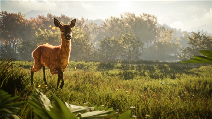 Deer in a field from The Hunter Call Of The Wild 4K