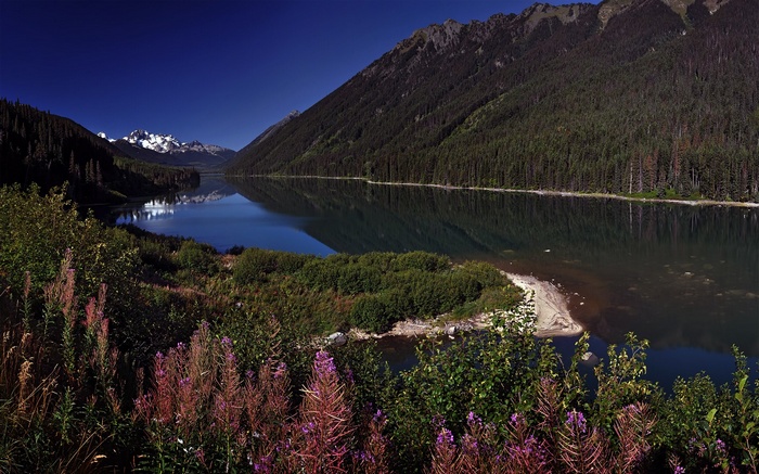 Lake and mountains with wildflowers in foreground