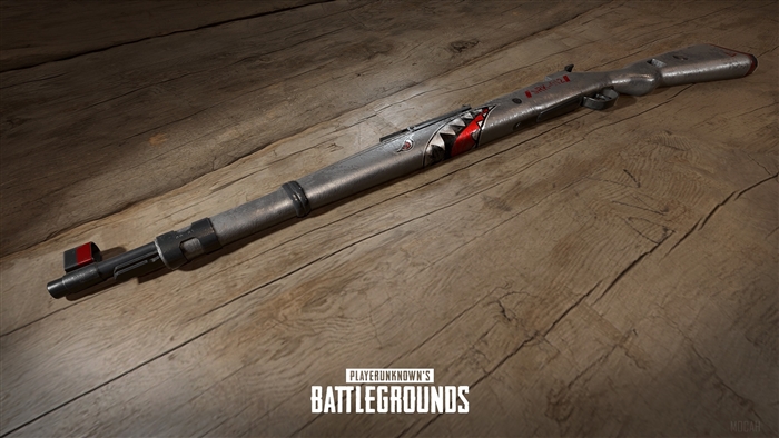 PlayerUnknown's Battlegrounds Weapon 4K