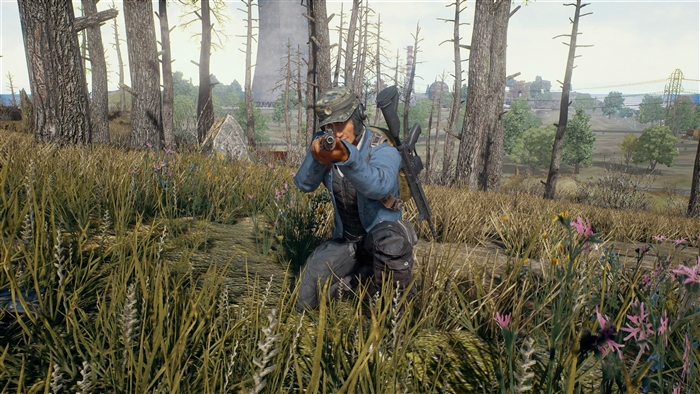 PlayerUnknown's Battlegrounds character aiming rifle in forest 4K