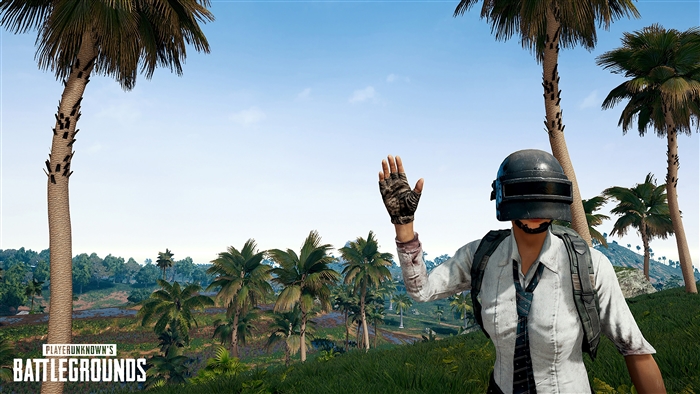 PUBG Character on Sanhok Island 4K
