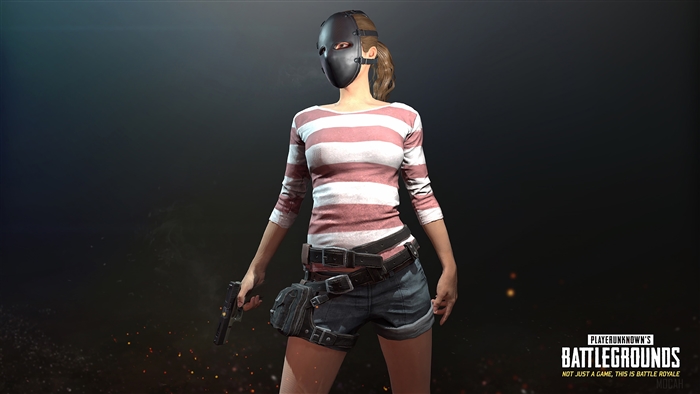 PlayerUnknown's Battlegrounds Wanderer Mask 4K