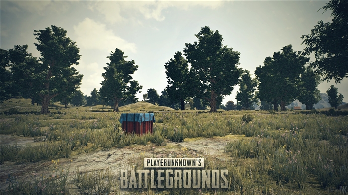PlayerUnknown's Battlegrounds Air Drop 4K