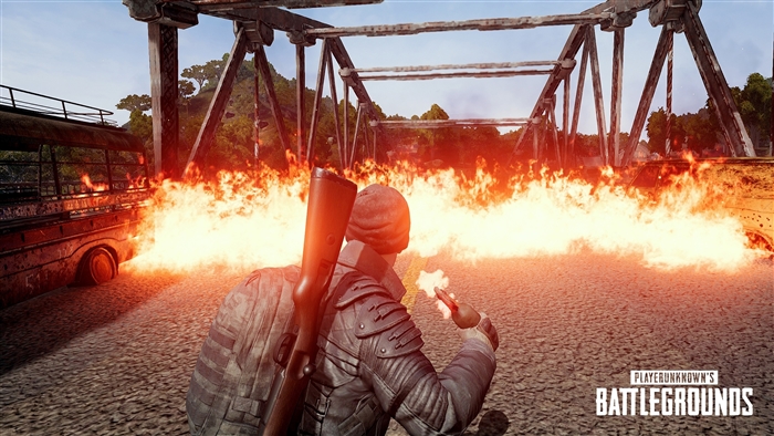 PlayerUnknown's Battlegrounds Molotov Cocktail 4K