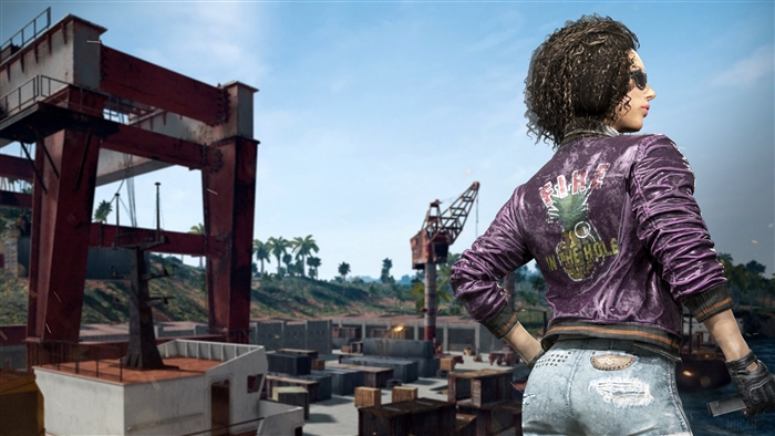 PlayerUnknown's Battlegrounds Sanhok 4K
