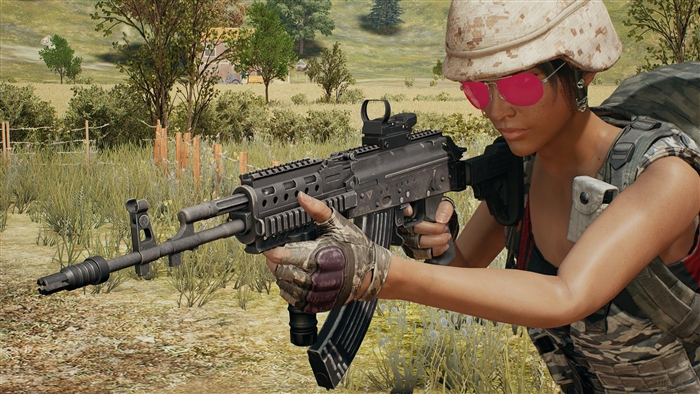 PlayerUnknown's Battlegrounds Beryl M762 Assault Rifle 4K