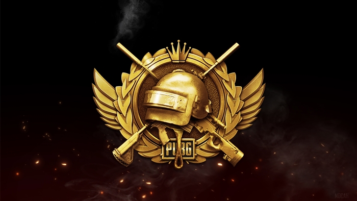 PUBG PlayerUnknowns Battlegrounds 4K Emblem