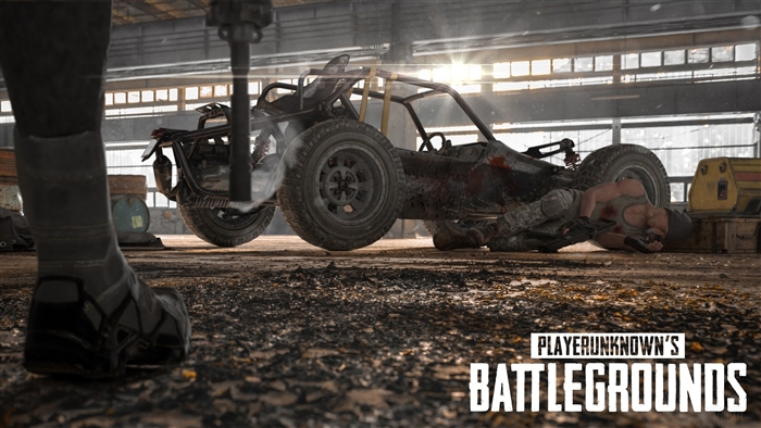 PlayerUnknown's Battlegrounds Buggy 4K