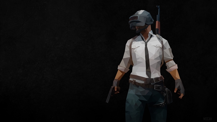PUBG Polygon Art Character with Gun and Rifle
