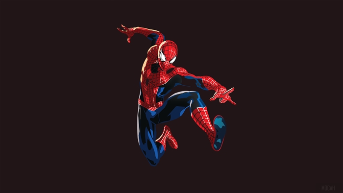 Spiderman Graphic Design