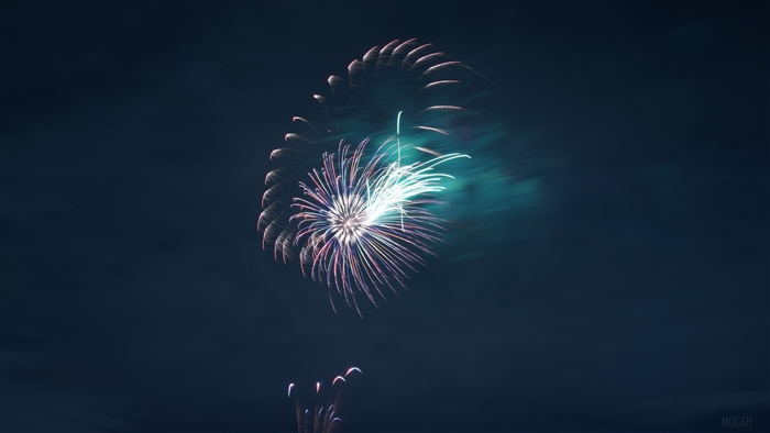 Fireworks Display in Dark Sky 4K